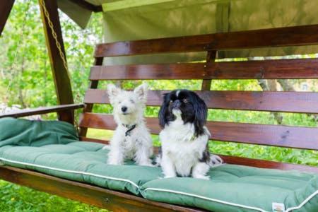 Poppelstrand Nuuksio, Pet Friendly Guest Apartment Esterno foto