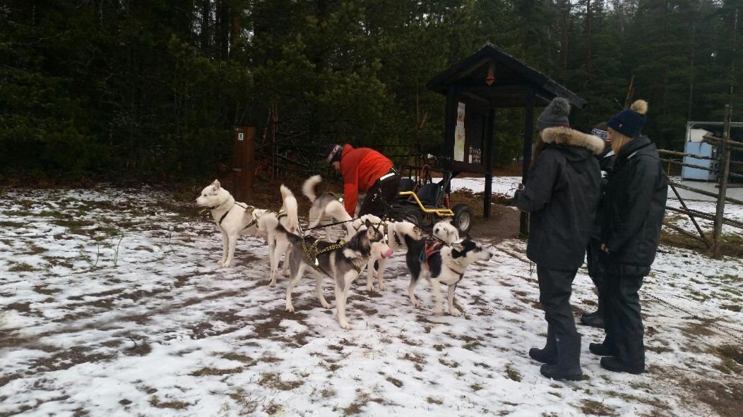 Poppelstrand Nuuksio, Pet Friendly Guest Apartment Esterno foto